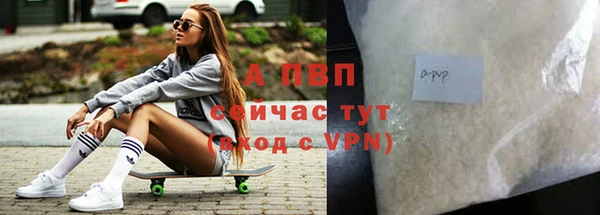 винт Богданович