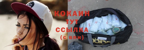 винт Богданович