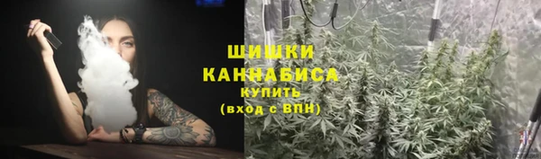 винт Богданович