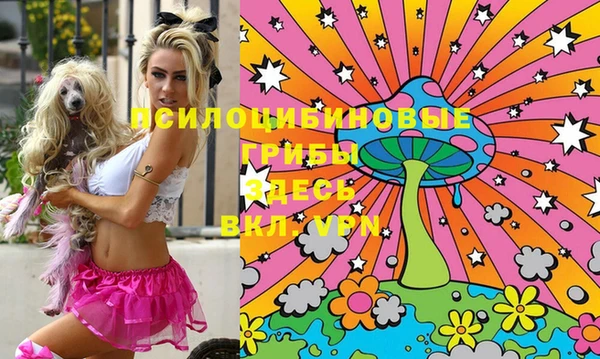 винт Богданович